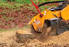 Reliable Waynesboro, TN  Tree Services Solutions